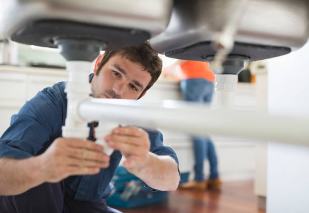 Best Residential Plumbing Services  in Allen Park, MI